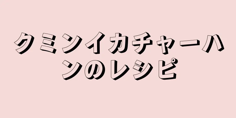 クミンイカチャーハンのレシピ