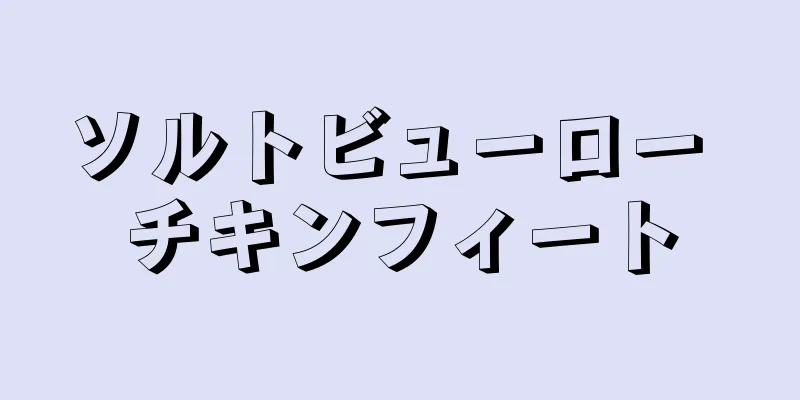 ソルトビューロー チキンフィート