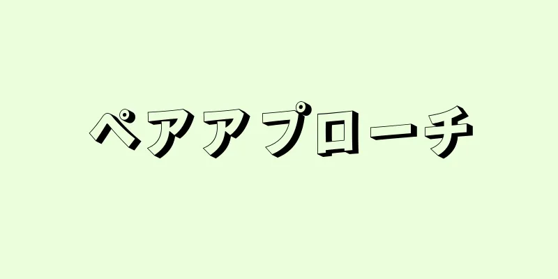 ペアアプローチ