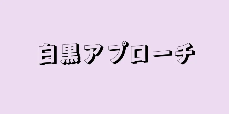 白黒アプローチ