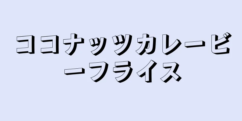 ココナッツカレービーフライス