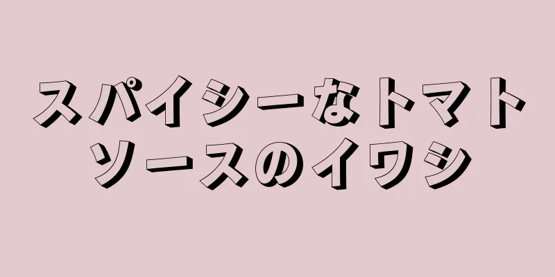 スパイシーなトマトソースのイワシ