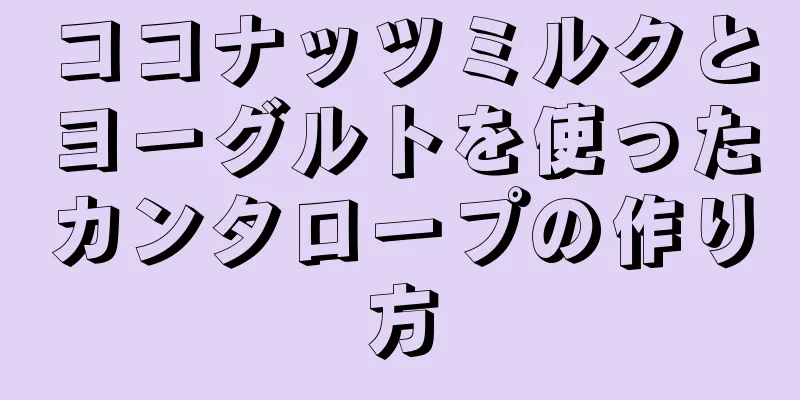 ココナッツミルクとヨーグルトを使ったカンタロープの作り方