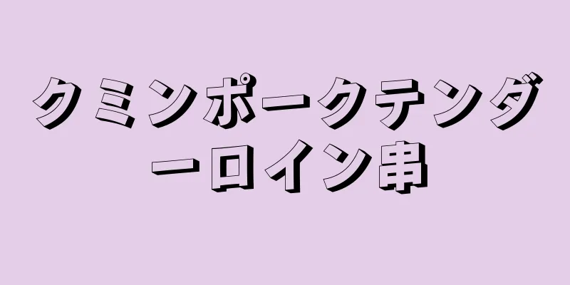 クミンポークテンダーロイン串