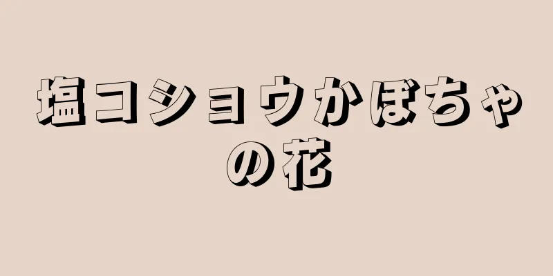 塩コショウかぼちゃの花