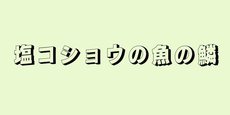 塩コショウの魚の鱗