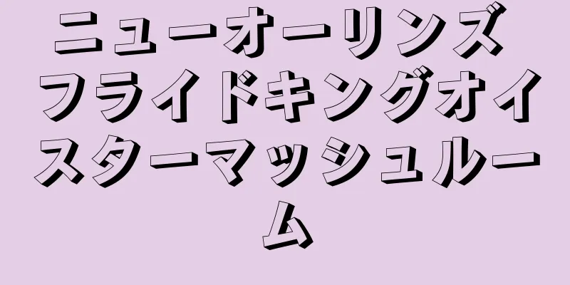 ニューオーリンズ フライドキングオイスターマッシュルーム