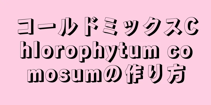 コールドミックスChlorophytum comosumの作り方