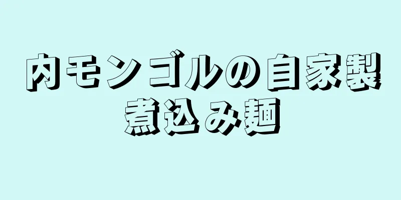 内モンゴルの自家製煮込み麺