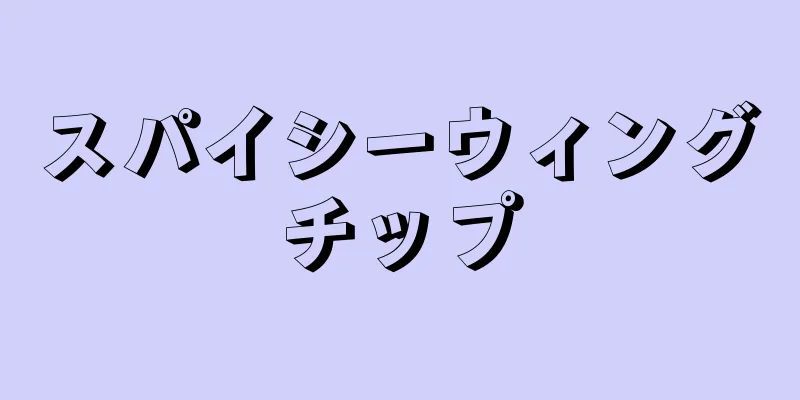 スパイシーウィングチップ