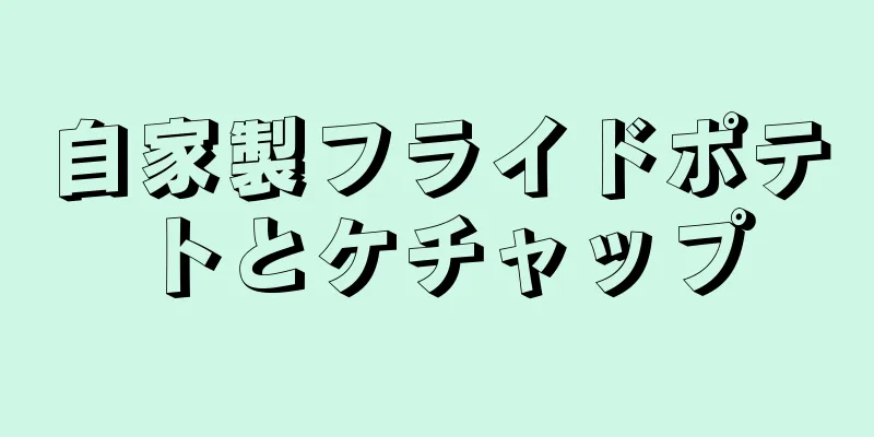 自家製フライドポテトとケチャップ