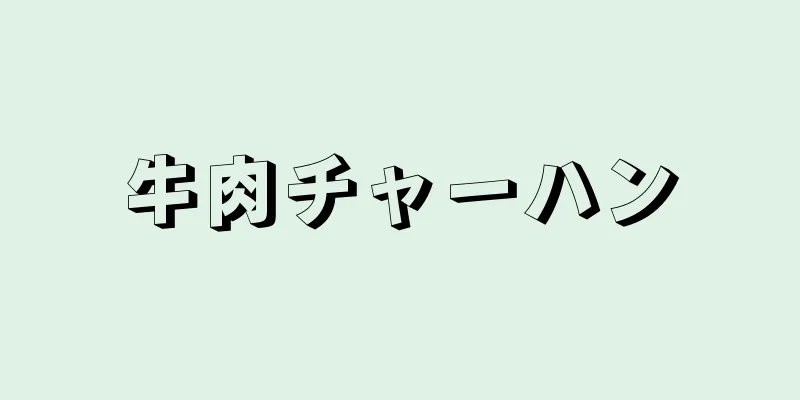 牛肉チャーハン