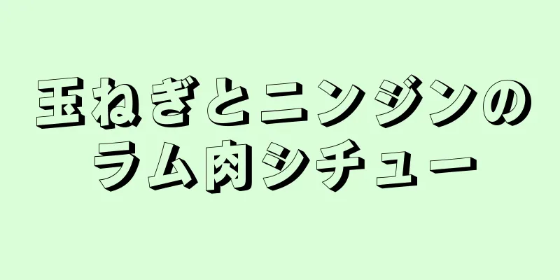 玉ねぎとニンジンのラム肉シチュー