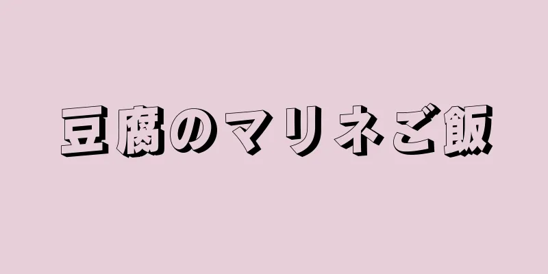 豆腐のマリネご飯