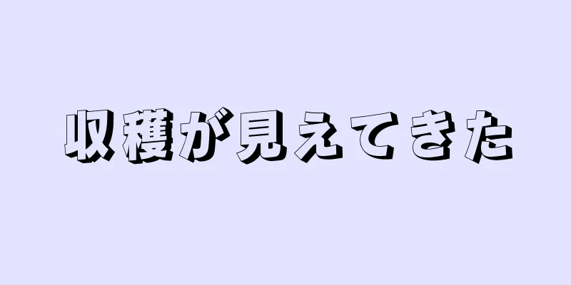 収穫が見えてきた