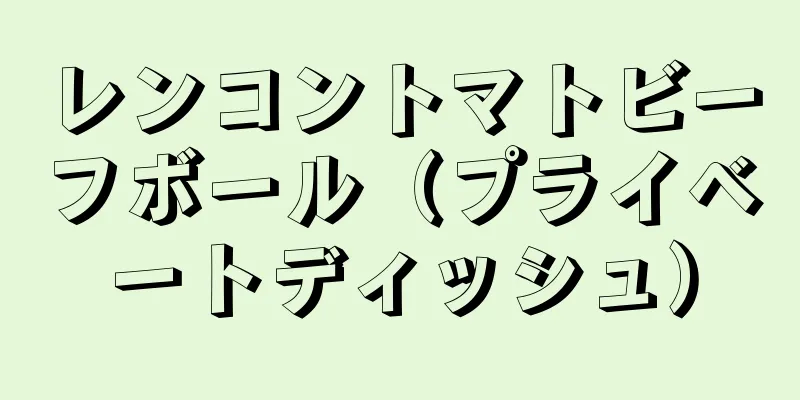 レンコントマトビーフボール（プライベートディッシュ）