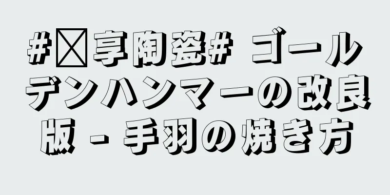 #乐享陶瓷# ゴールデンハンマーの改良版 - 手羽の焼き方