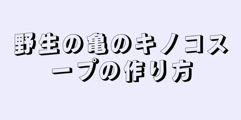 野生の亀のキノコスープの作り方