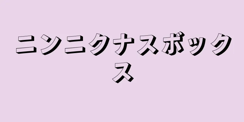 ニンニクナスボックス