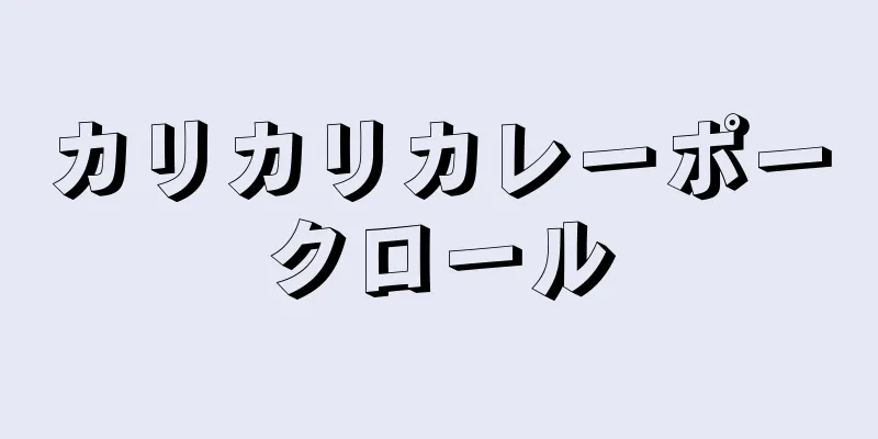 カリカリカレーポークロール